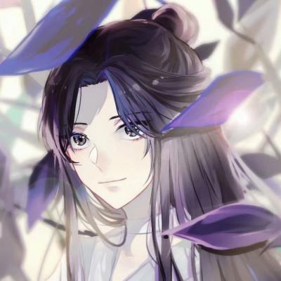 北京纳税花